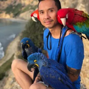 Reputable Parrot Breeders In Vancouver