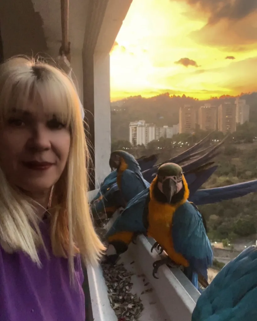 Top Parrot Breeders In Switzerland