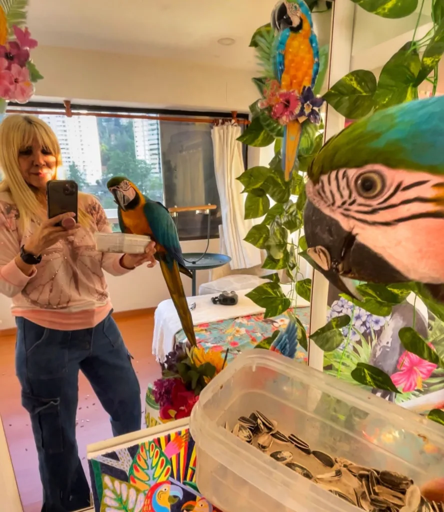 Best Parrot Breeders in Brazil