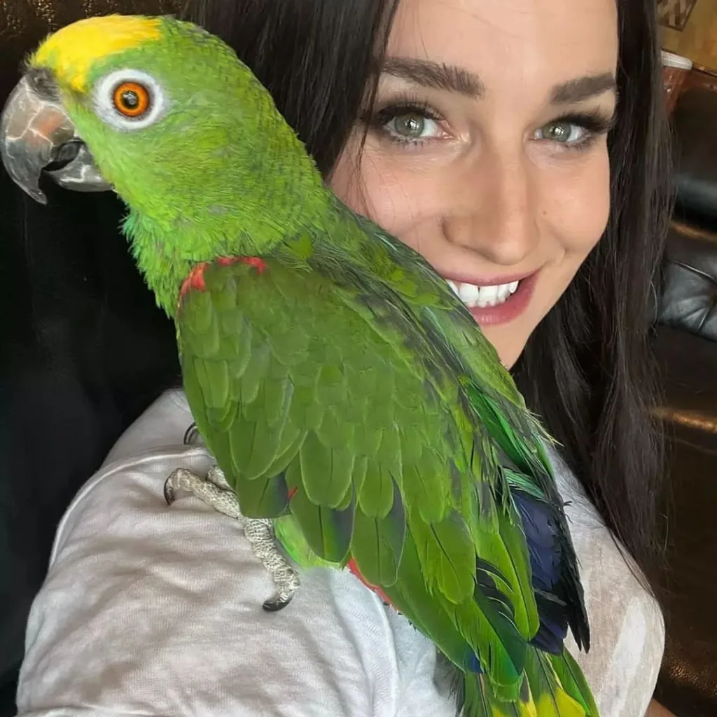 Conures Parrot Breeders Facebook