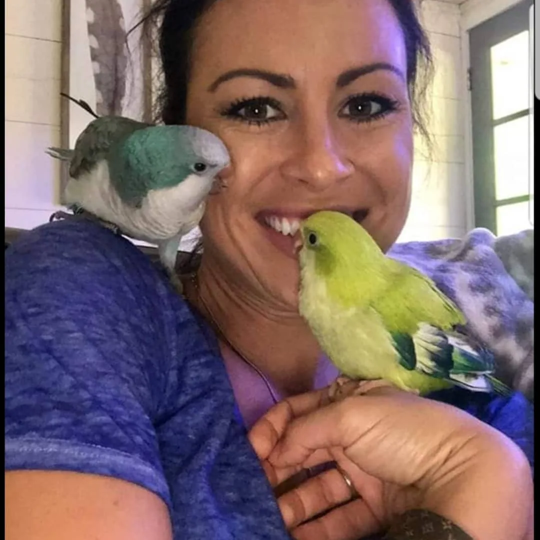 Find Reputable parrot breeders