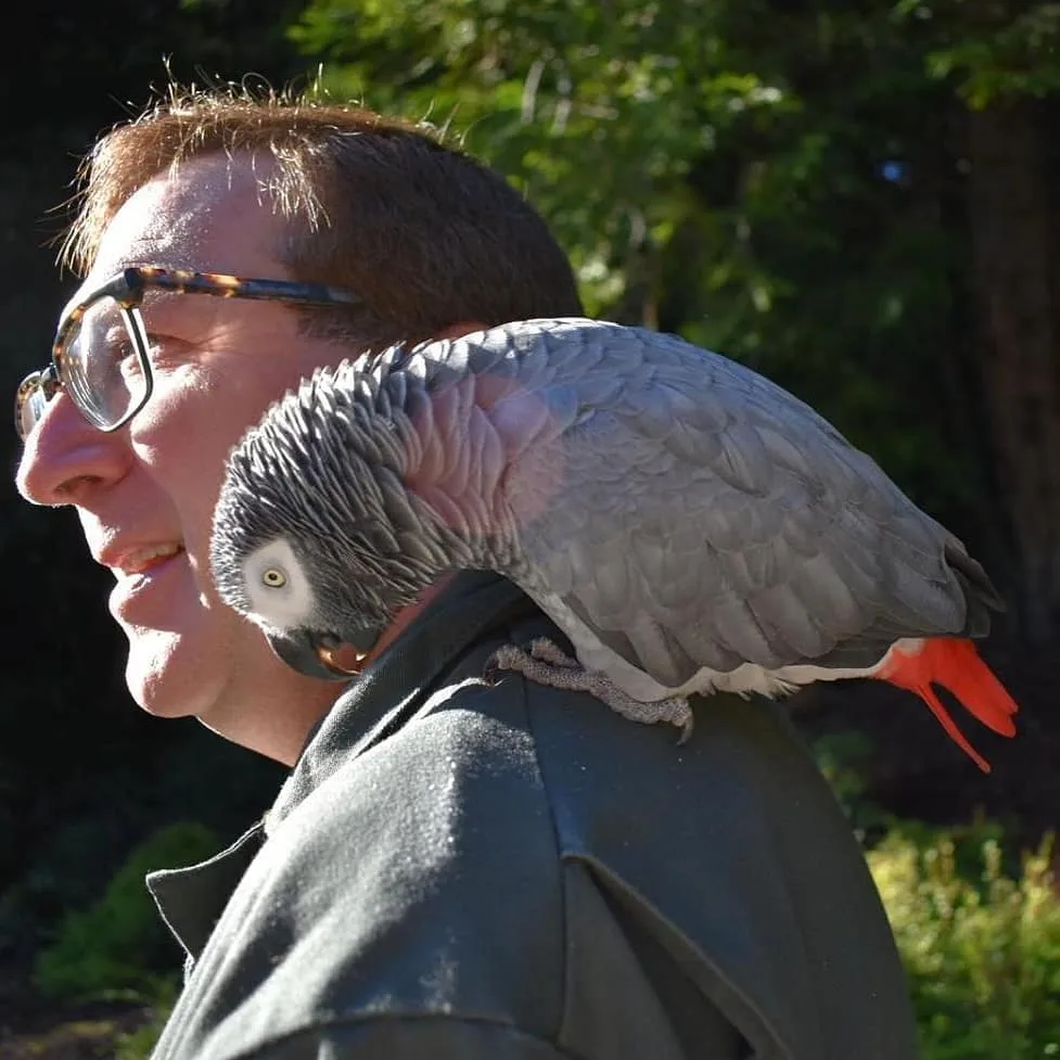 Parrot Health Checks