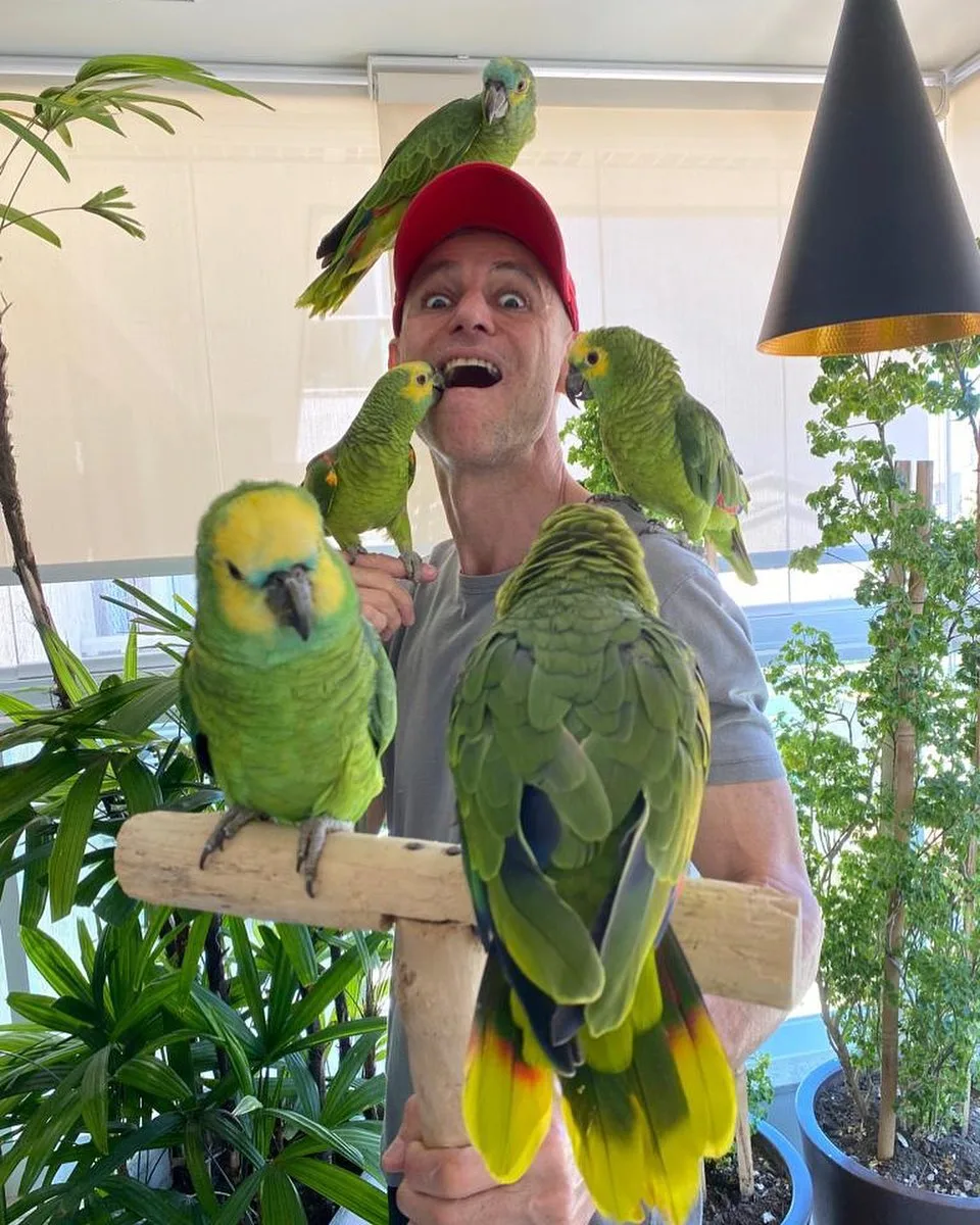 Amazon Parrot Training