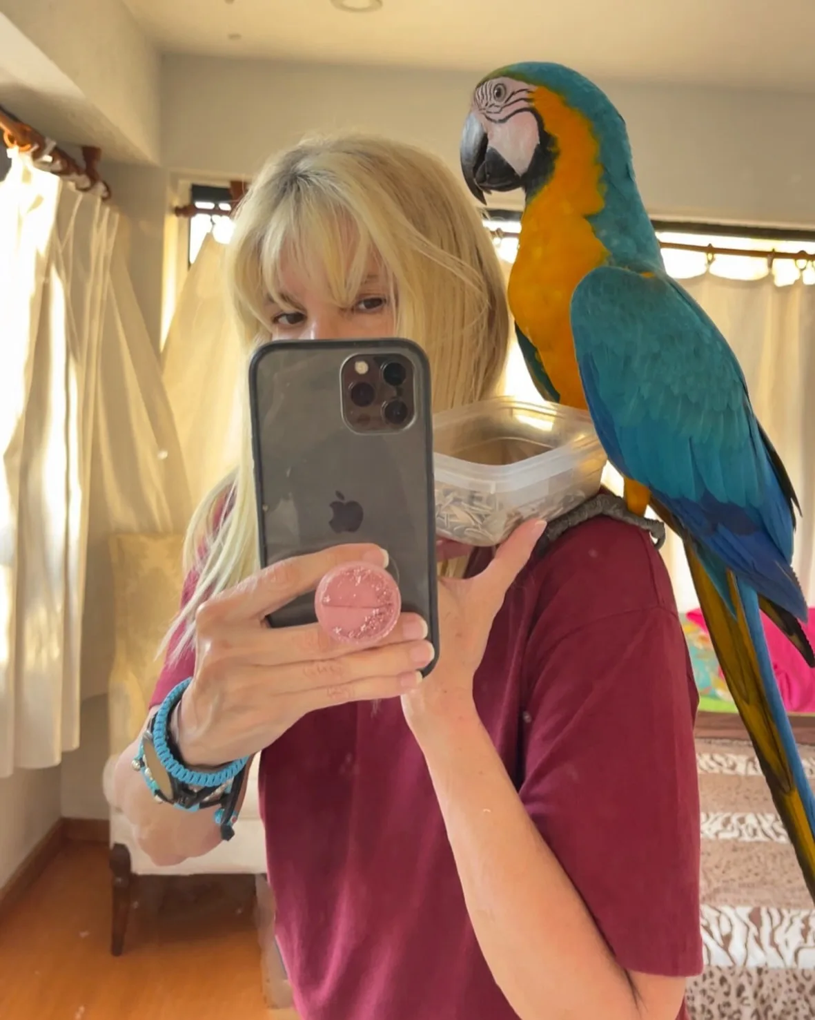 Best Parrot Breeders in Mississippi