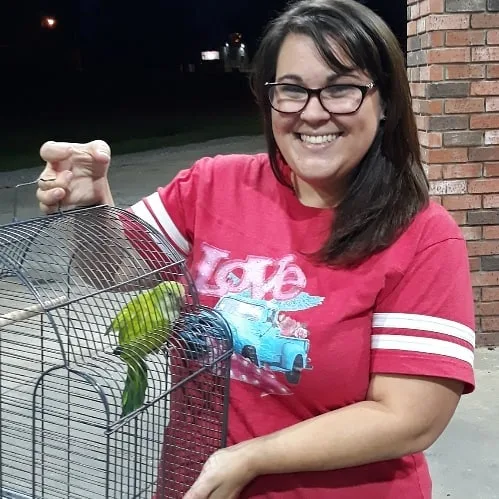 Parrots for Sale in Wisconsin