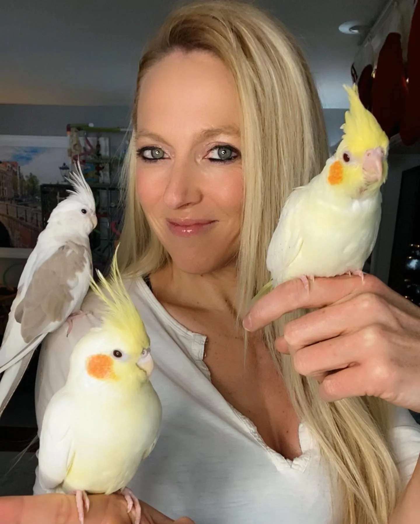 White Quaker Parrot