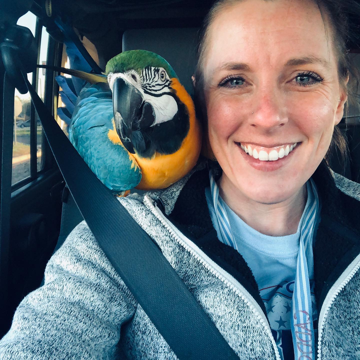 Reputable Parrot Breeders in Connecticut