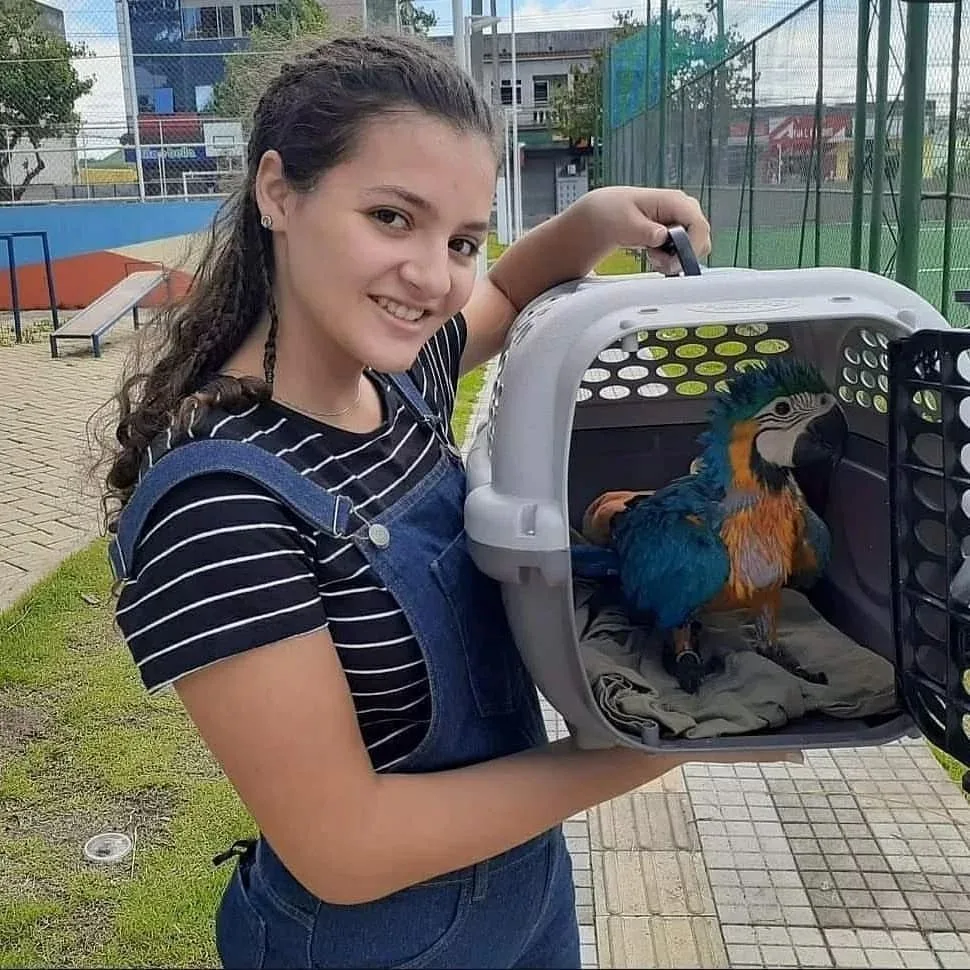 Parrots for Sale in Hawaii