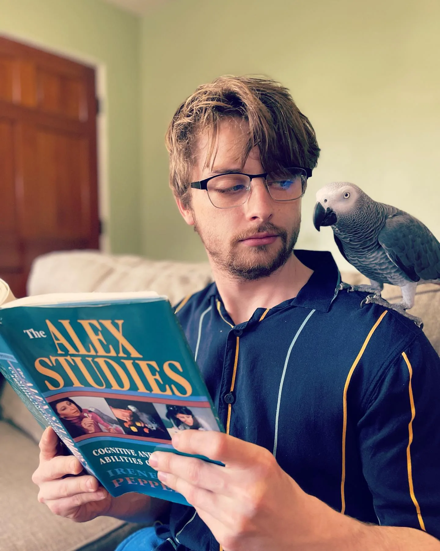 Best Parrot Breeders in Alabama