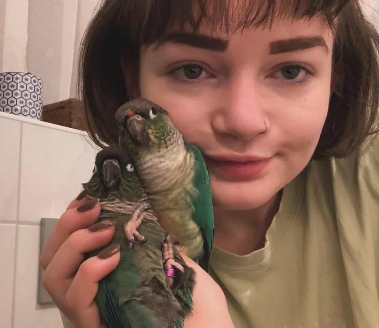 Hand Raised Quaker Parrots